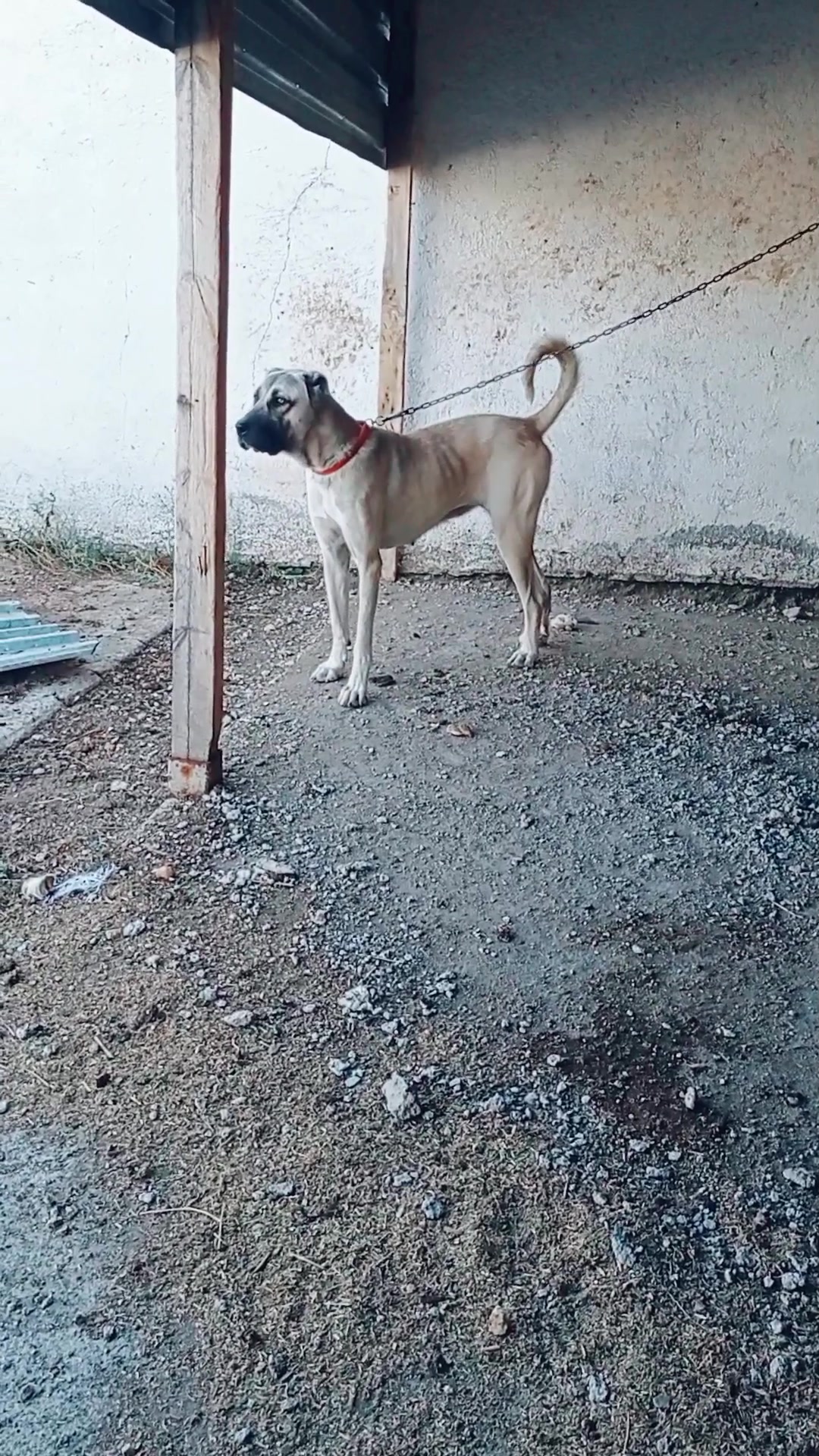 @Hello Bozkır