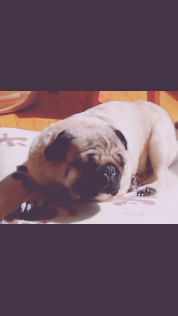 @iamjcrquiroga