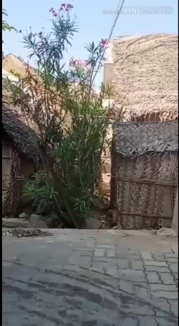 @Manikandan Mani