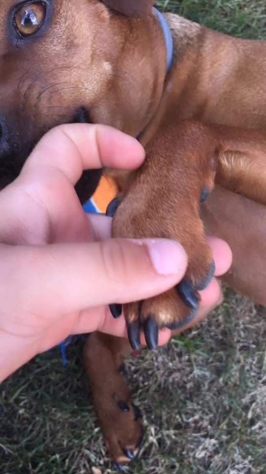 @Labas as lepsas