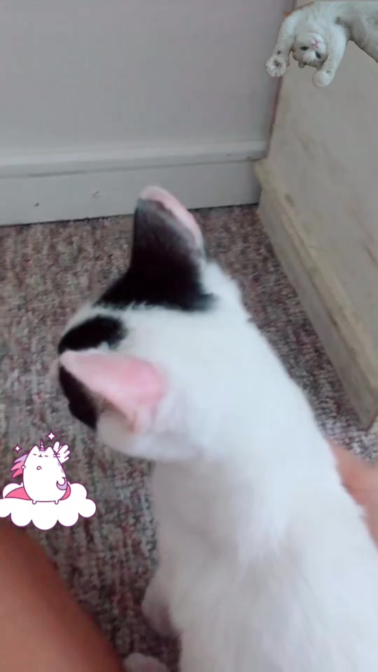 @•ampi_uwu•