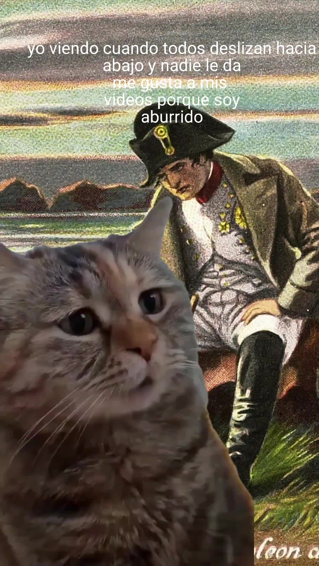@DR_Free🦦
