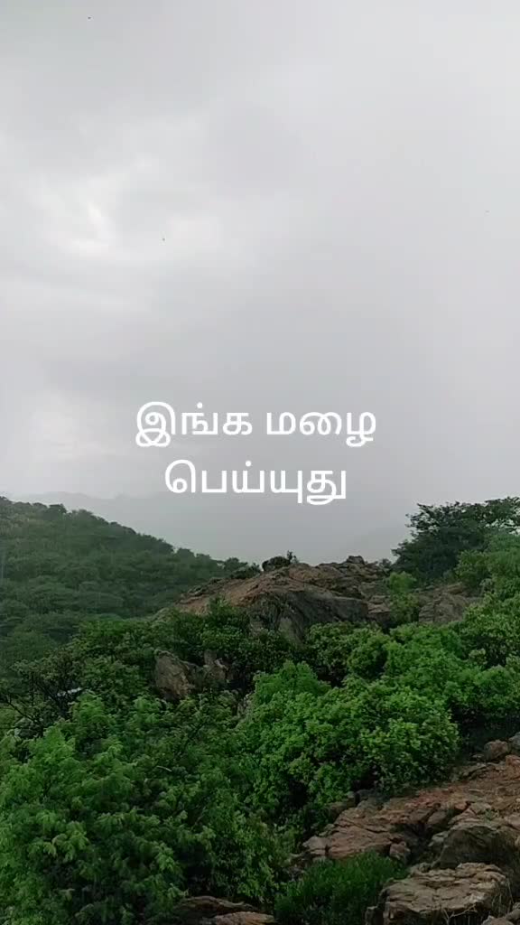 @சின்னப்பூவன்  பூ  வி