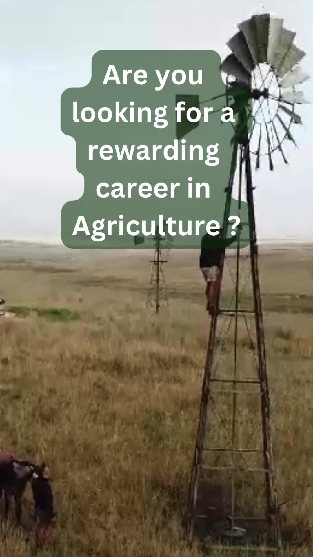 @BoshoffBonsmaras