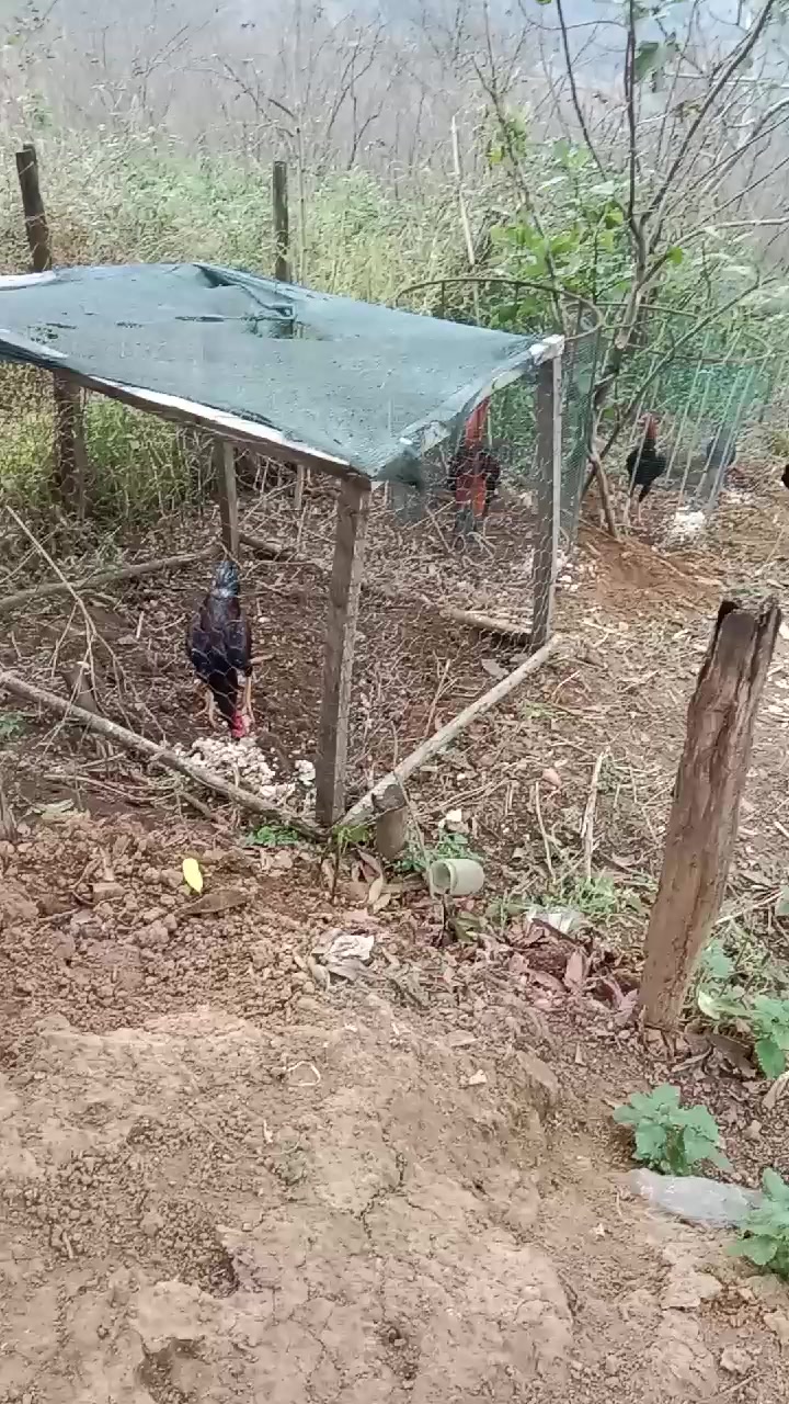 @ORDULU MÜSLÜM