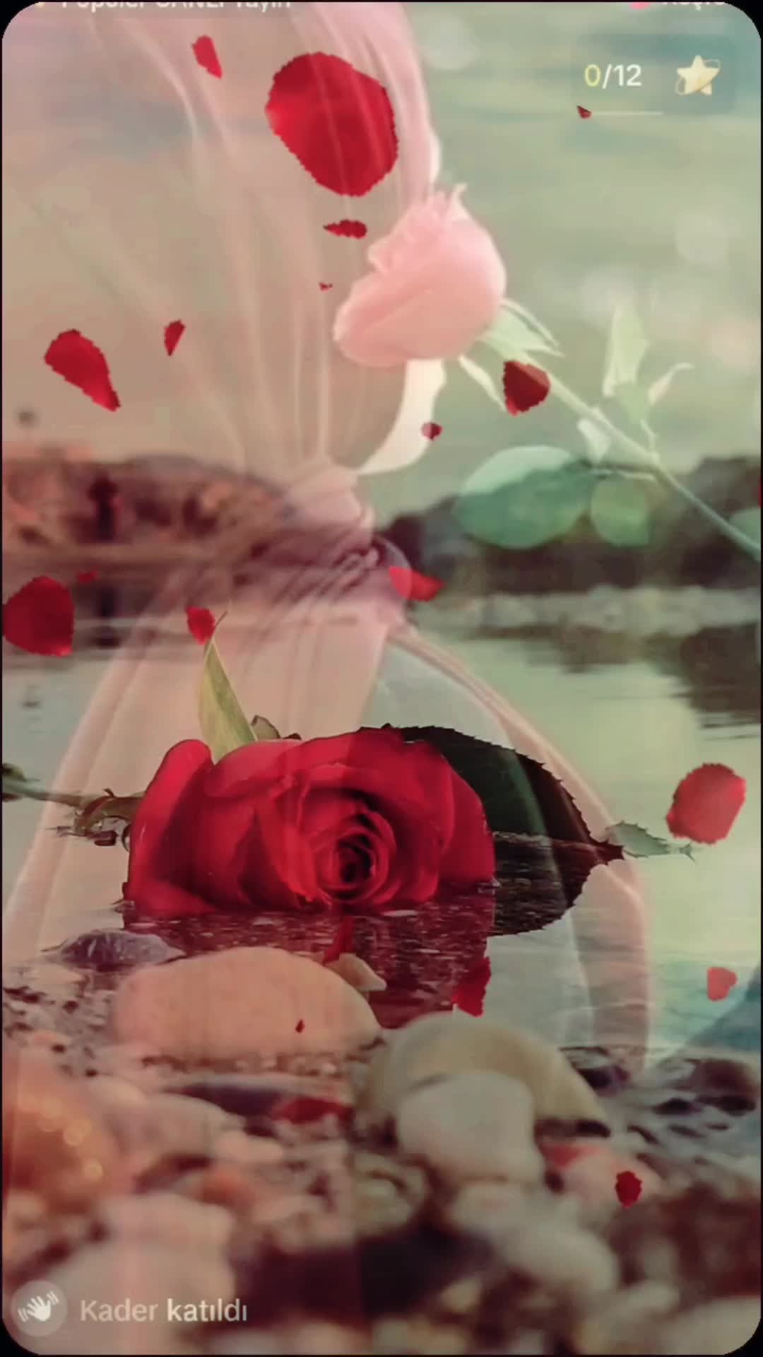 @Kader🌼🌹🍁🌷