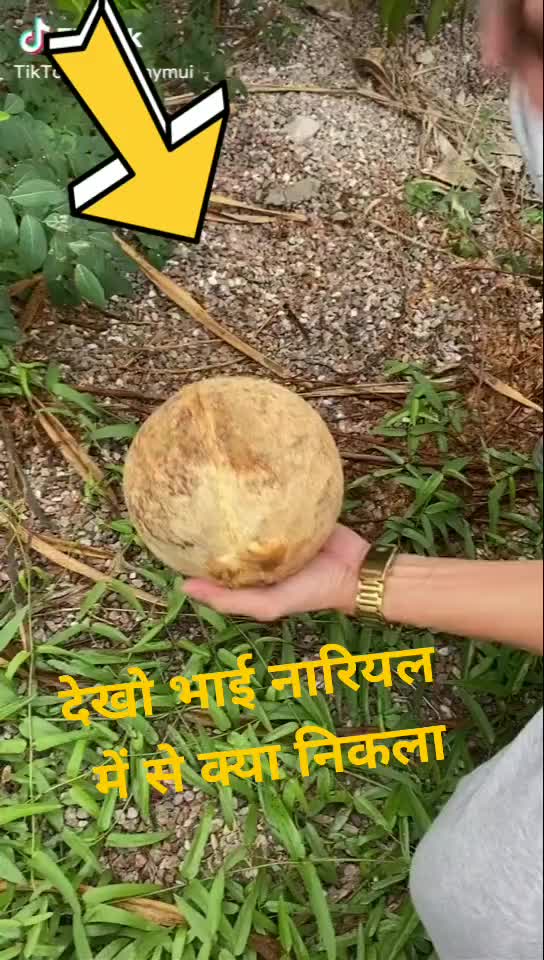 @GYANSAGAR