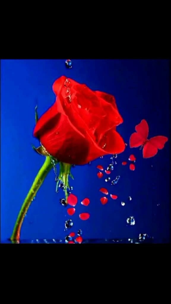 @Mahailngesh45