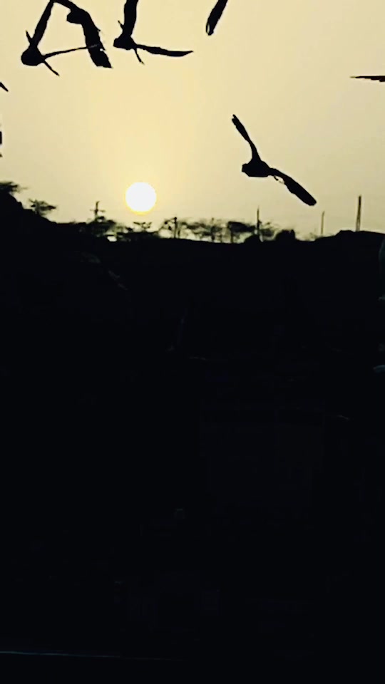 @{سید عبدل چشتی}