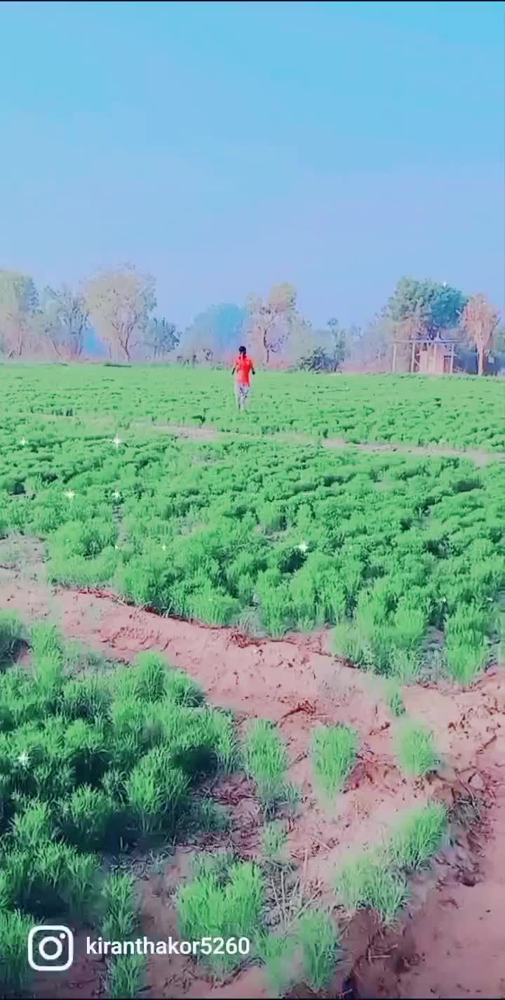 @kiran thakor 1432