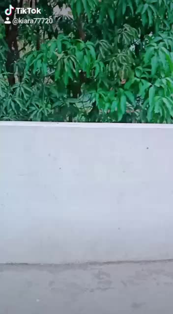 @prashant__8989