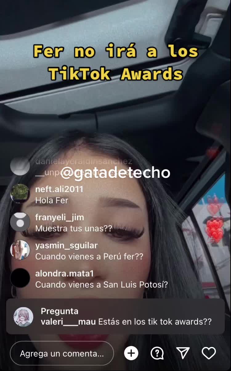 @Gatadetecho