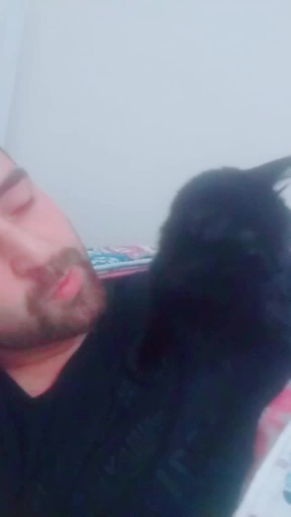 @Vezir Koç