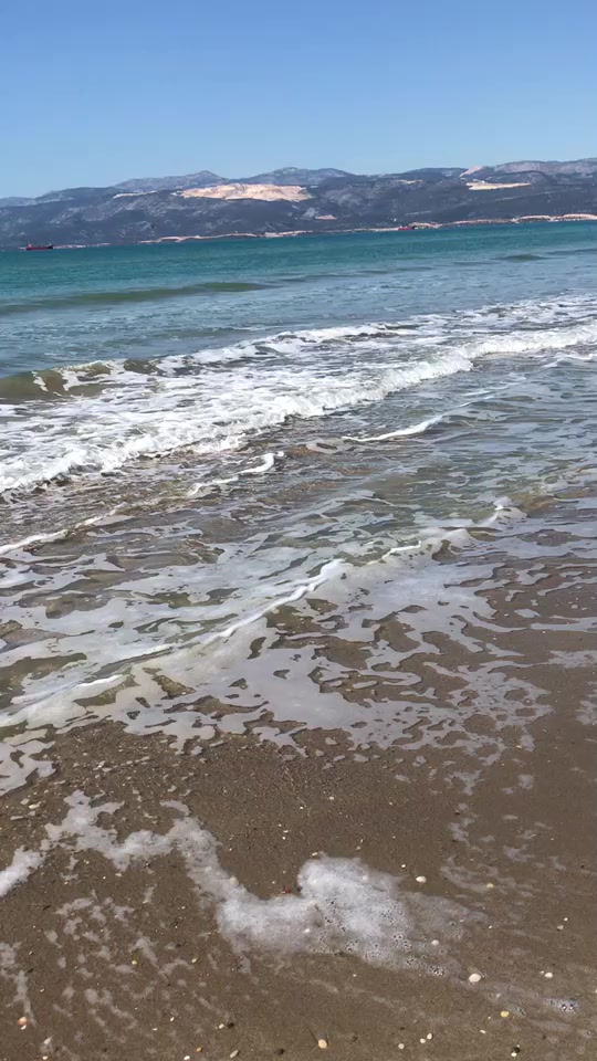@hasanali.kaya