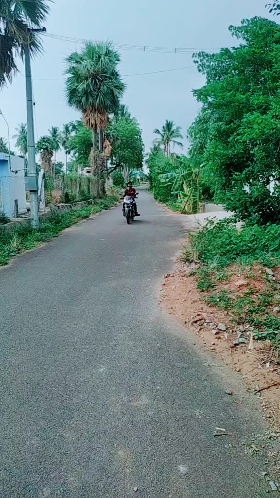 @Tamil