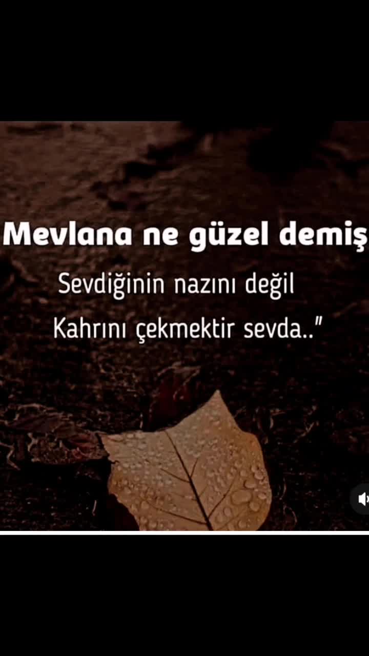 @Hasan52@