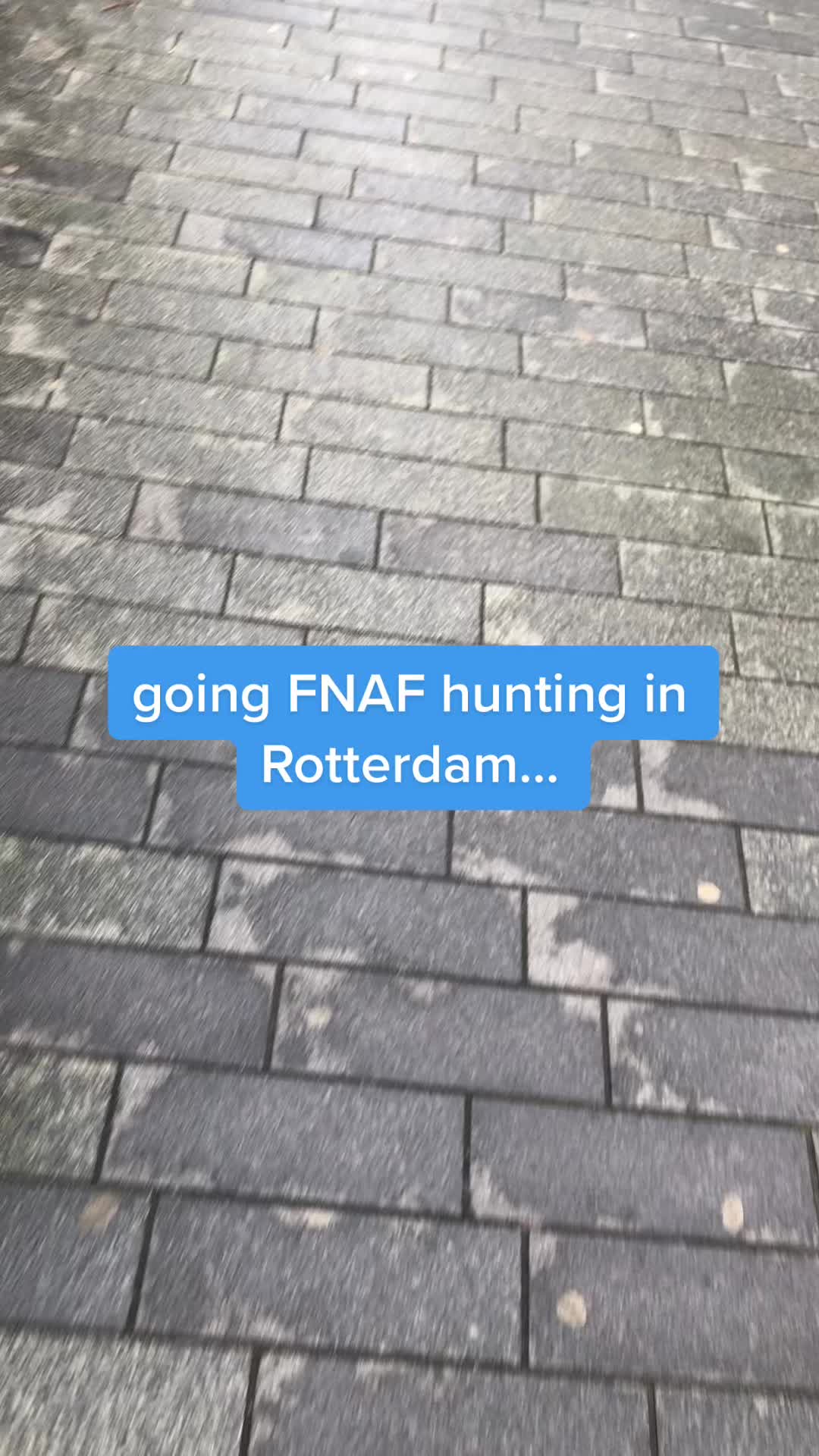@Jonne 🇳🇱🇩🇪🇵🇱