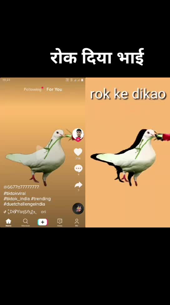@prabhakar kolekar
