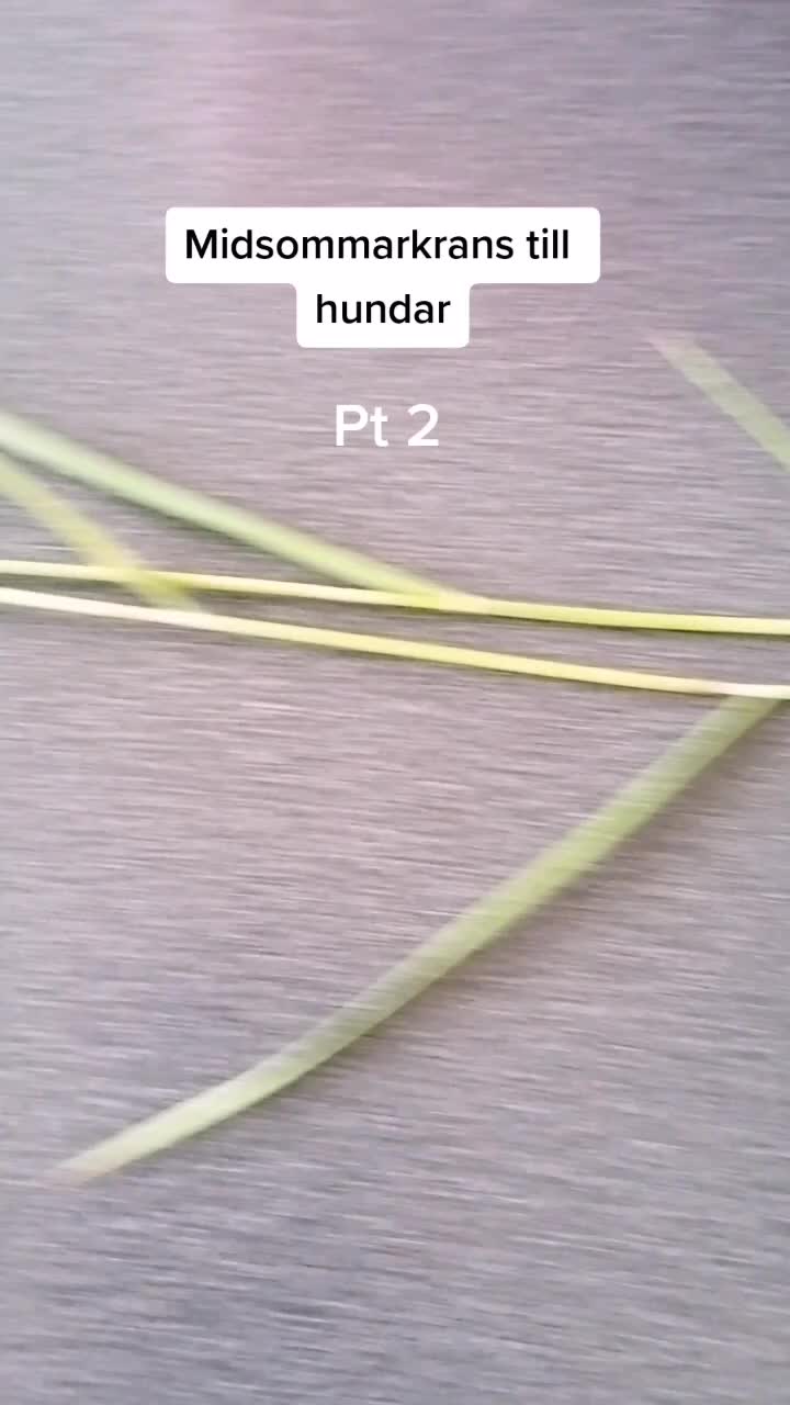 @Cockerspanielester