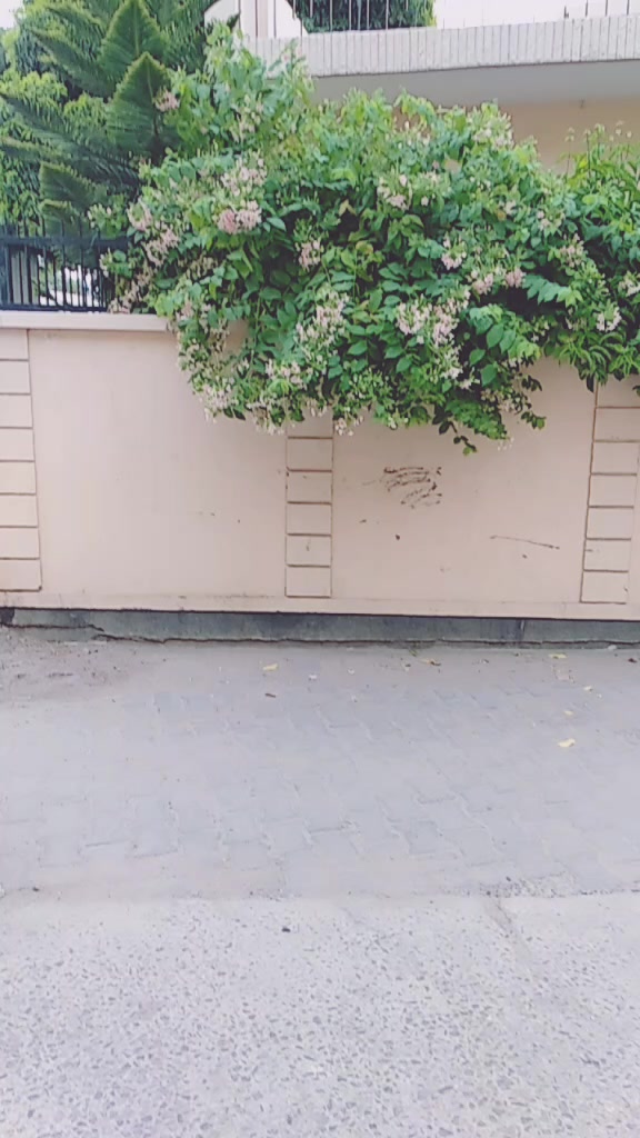 @Mohd Asif