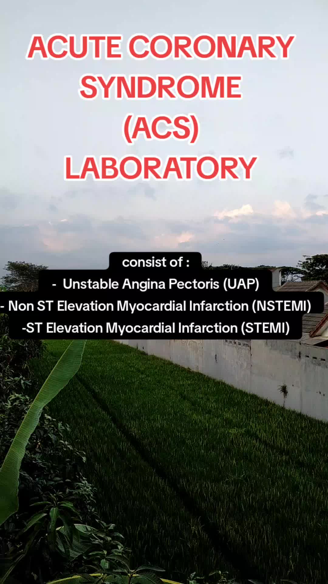 @Erlan A.P, MD