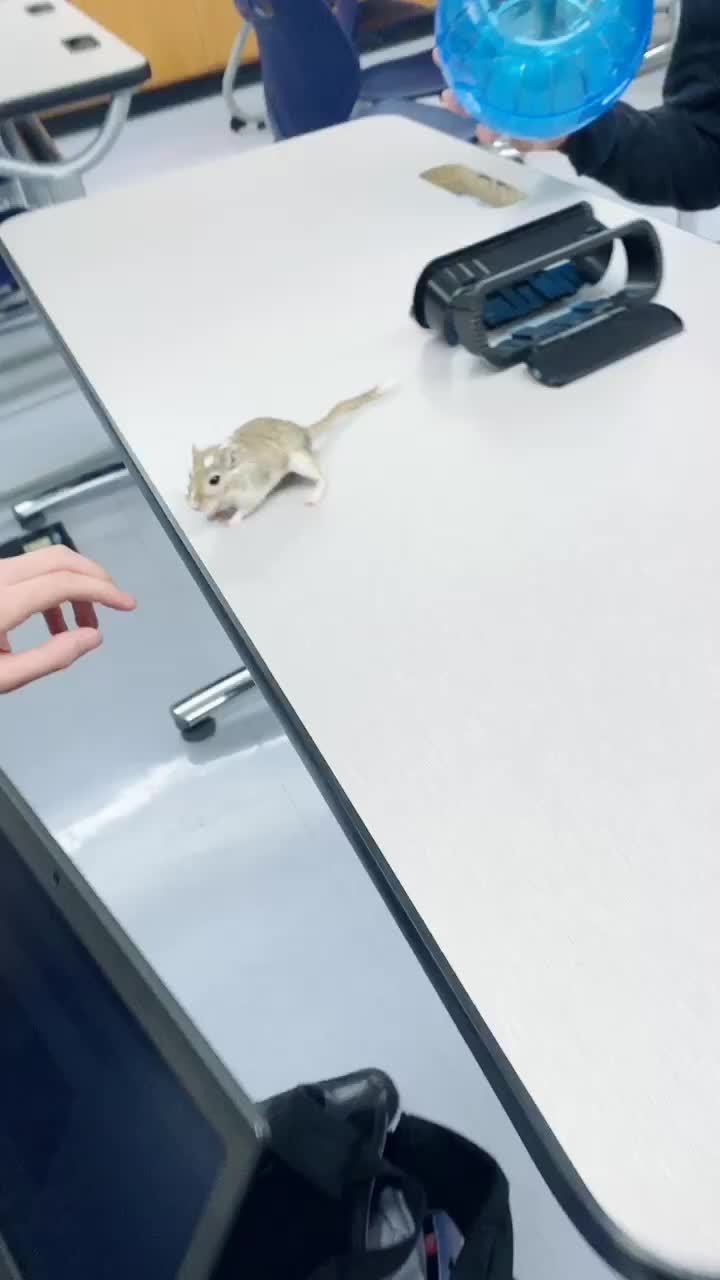 @G