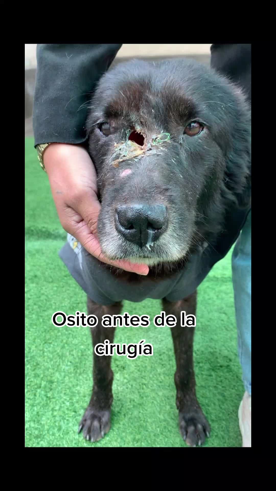 @Huellitasdeamorjaen