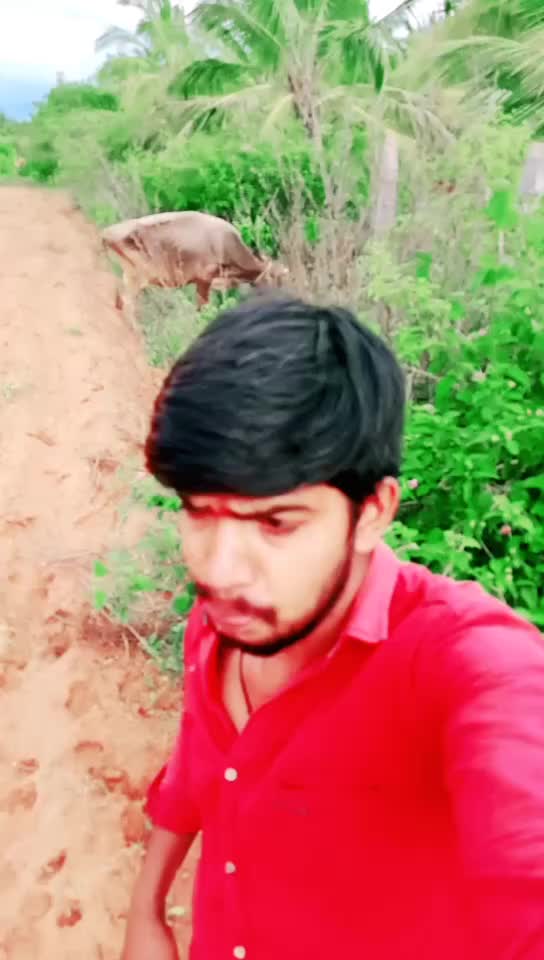 @Charan gubbi