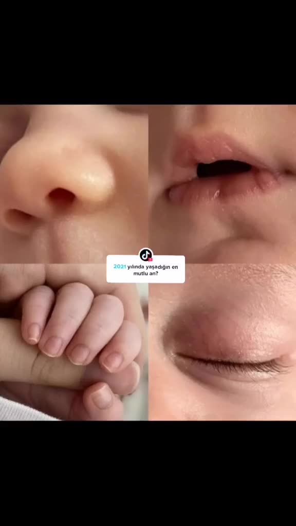 @&Ccedil;i&ccedil;ek Ailesi 🌸