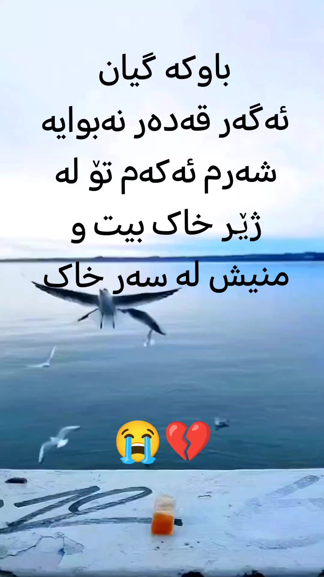 @R͎𑁍z͎