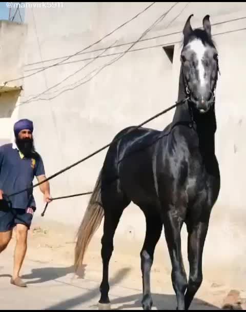 @Samir_Malek