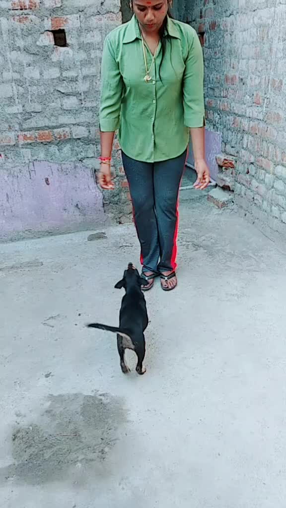 @Divya Raman