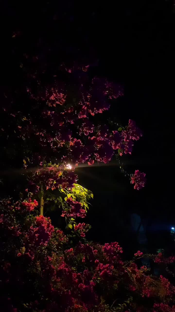 @اضحك ببلاش