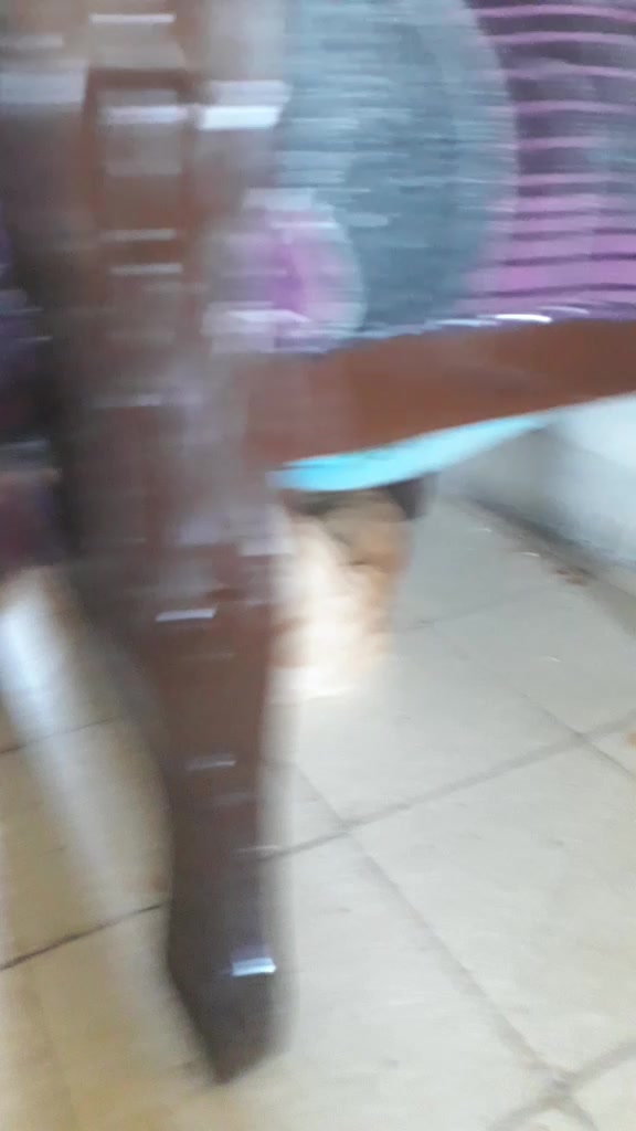 @IEIGE