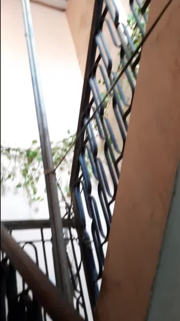 @Himani_kalsi