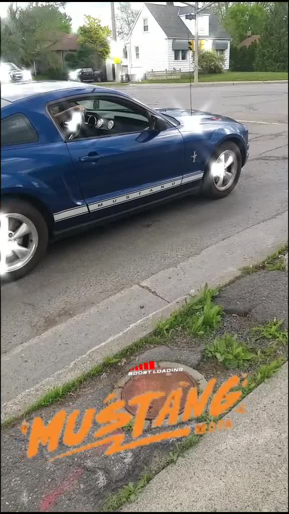 @g._view