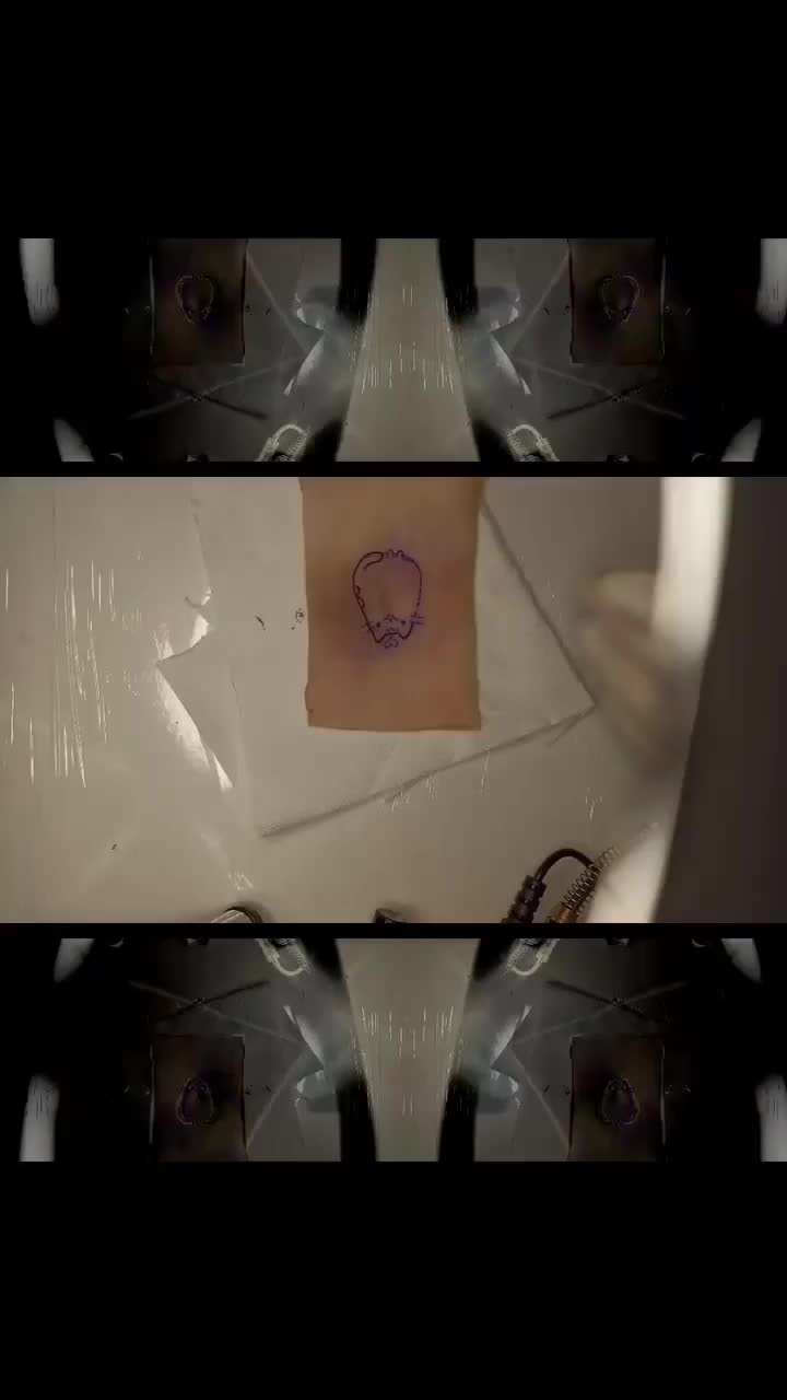 @lacattoo