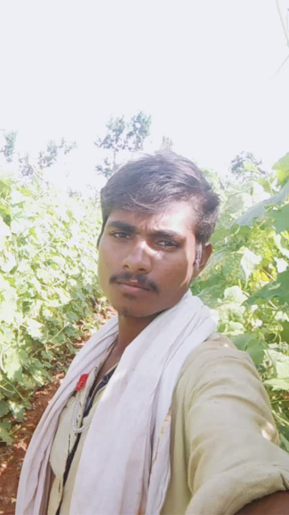 @user586340