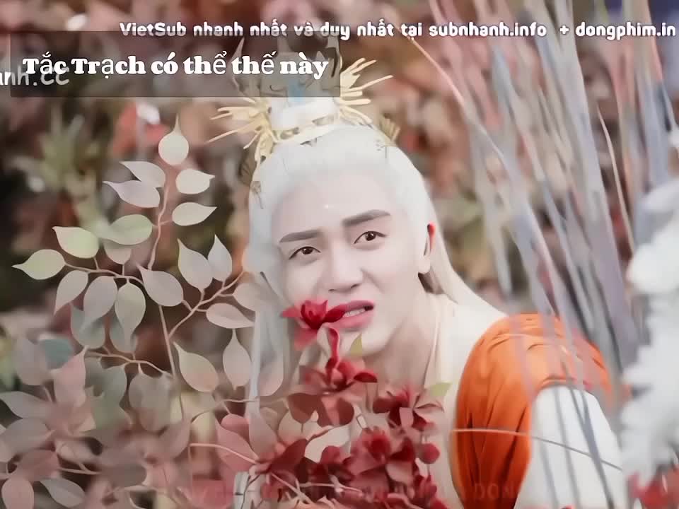 @Qinn