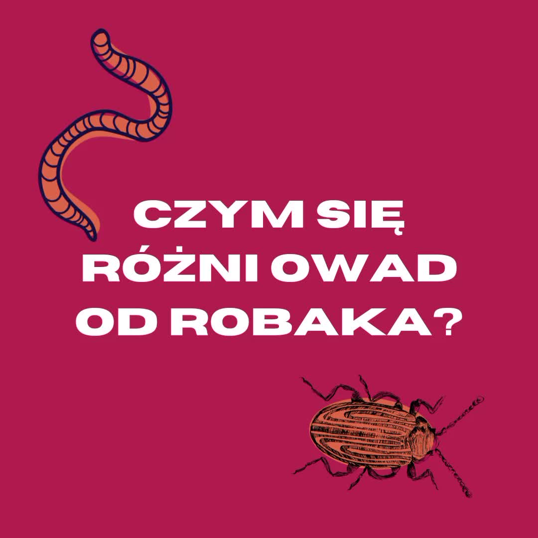 @Wydawnictwo Nieśpieszne
