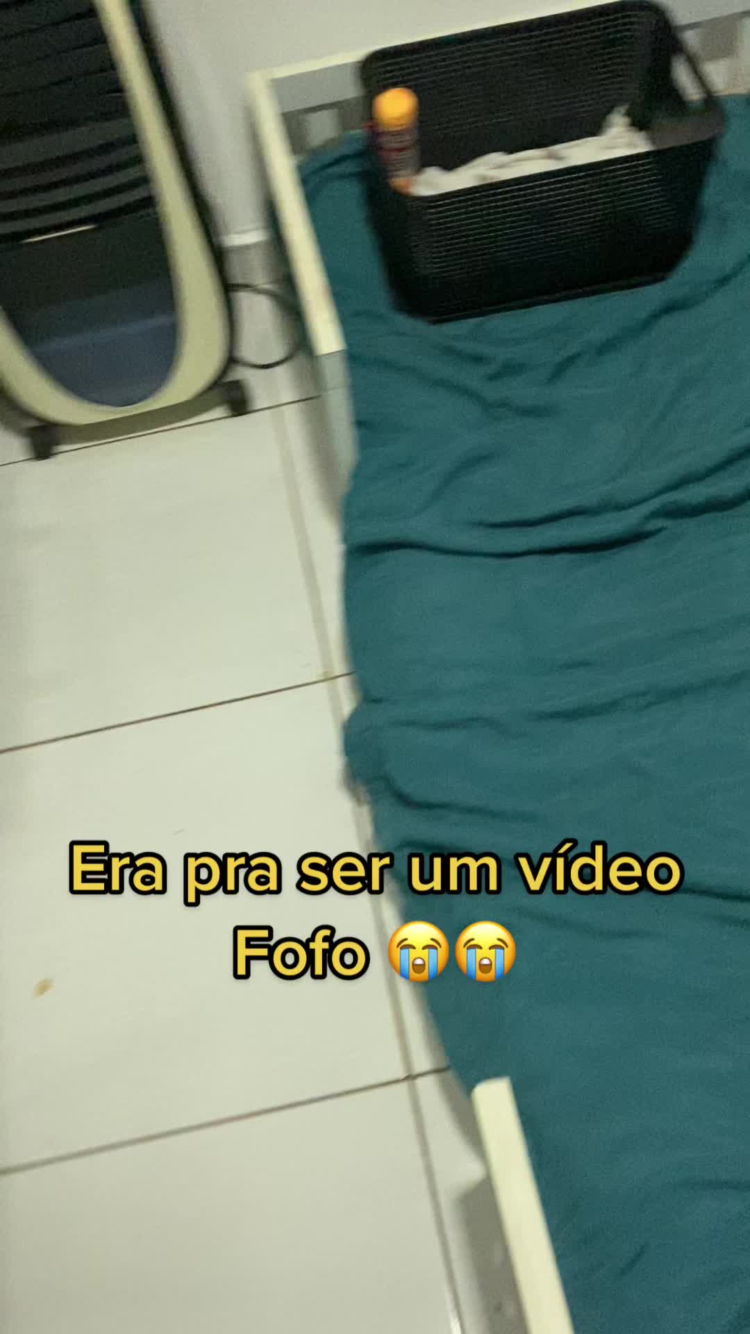 @Alessandra Tavares