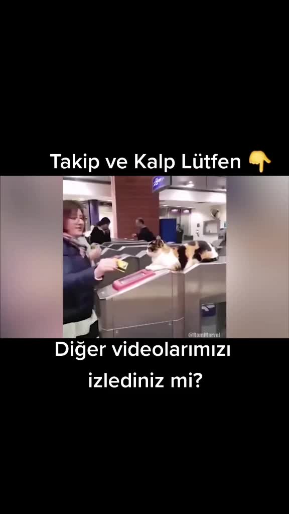 @sugibibilgiler