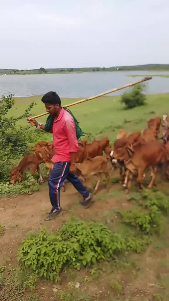 @Sindhav Vijay