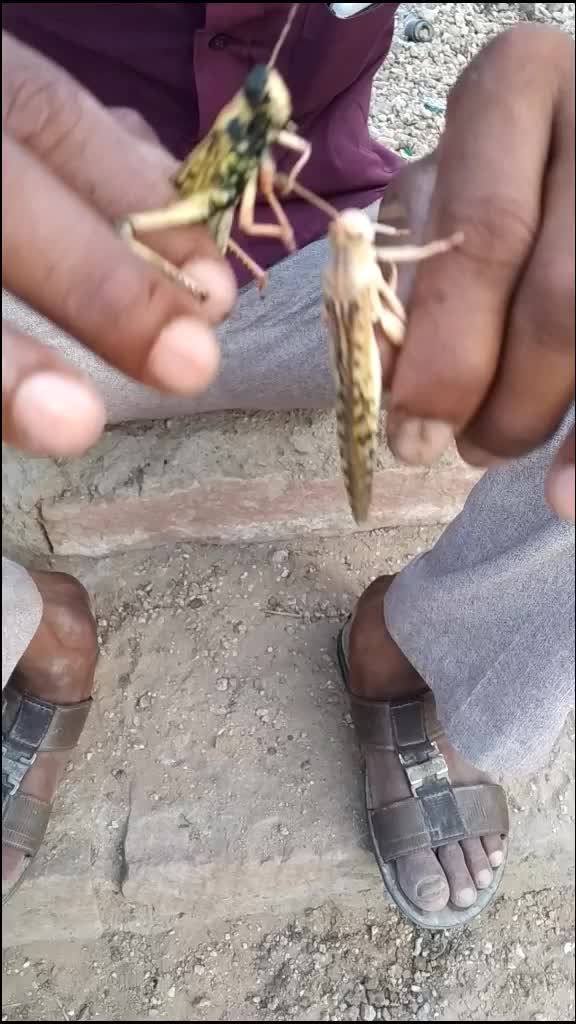 @asu Bhai 143