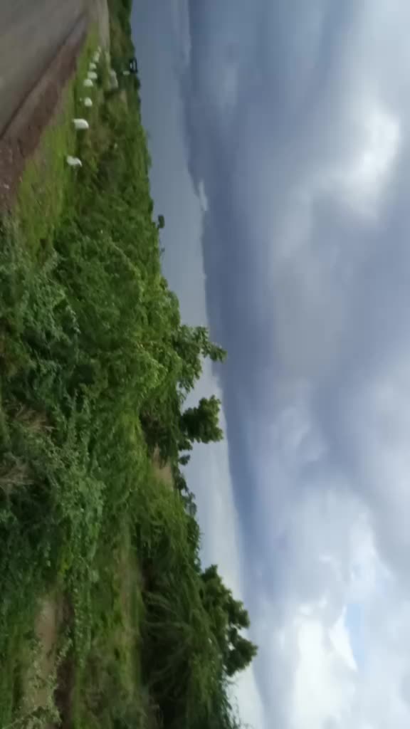 @Abhi Bhimani