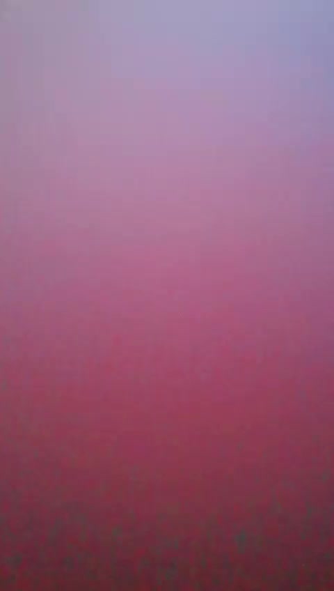 @Anjal sultana