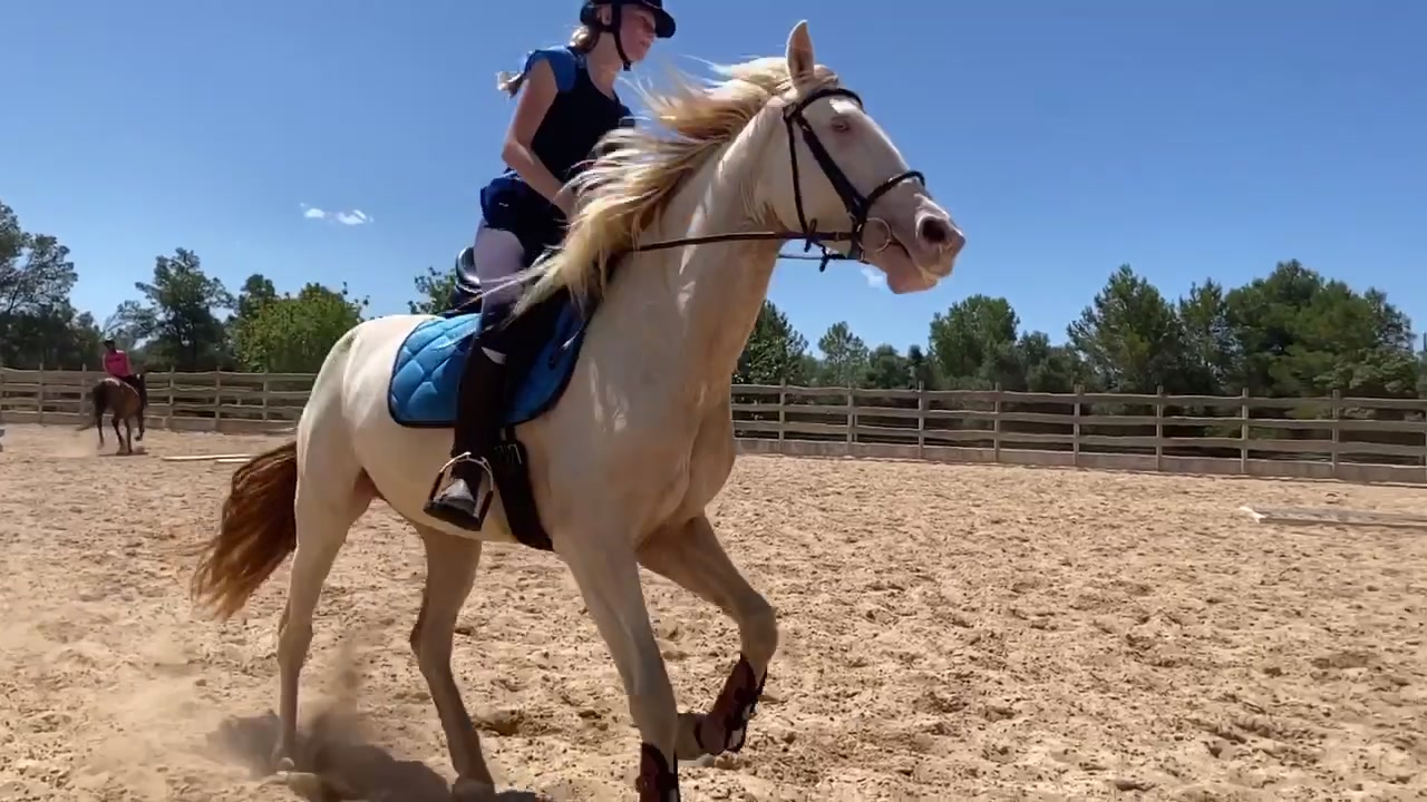 @🐴💎🥰