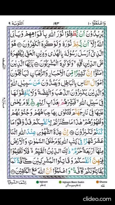 @Quran Majeed