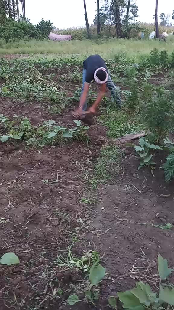 @Jagadeesh Puppala