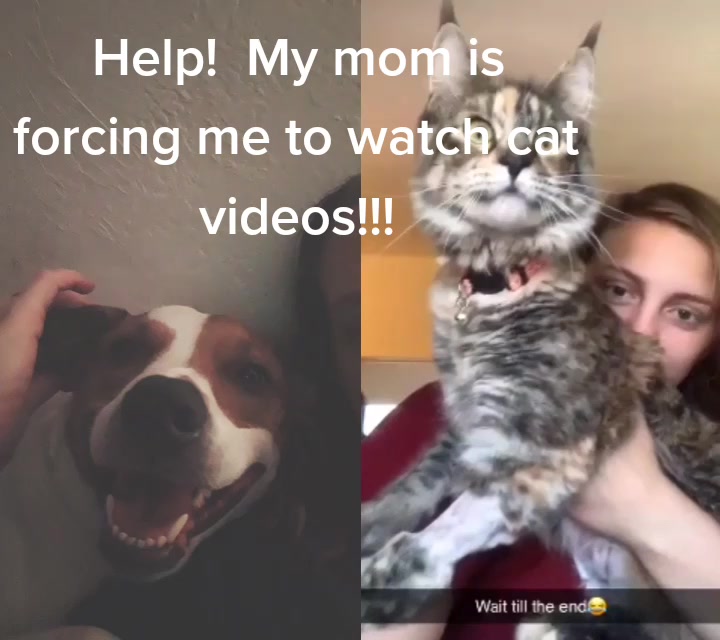 @Snowysmom